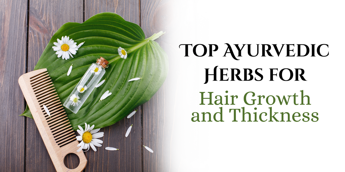 Top Ayurvedic Herbs for Hair Growth and Thickness