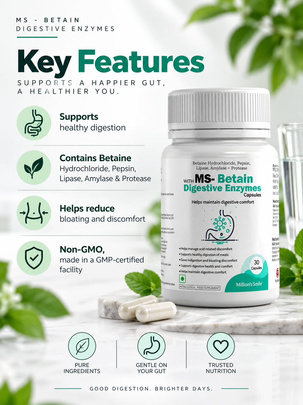 MS-Betain With Digestive Enzymes Capsules – 30 Capsules