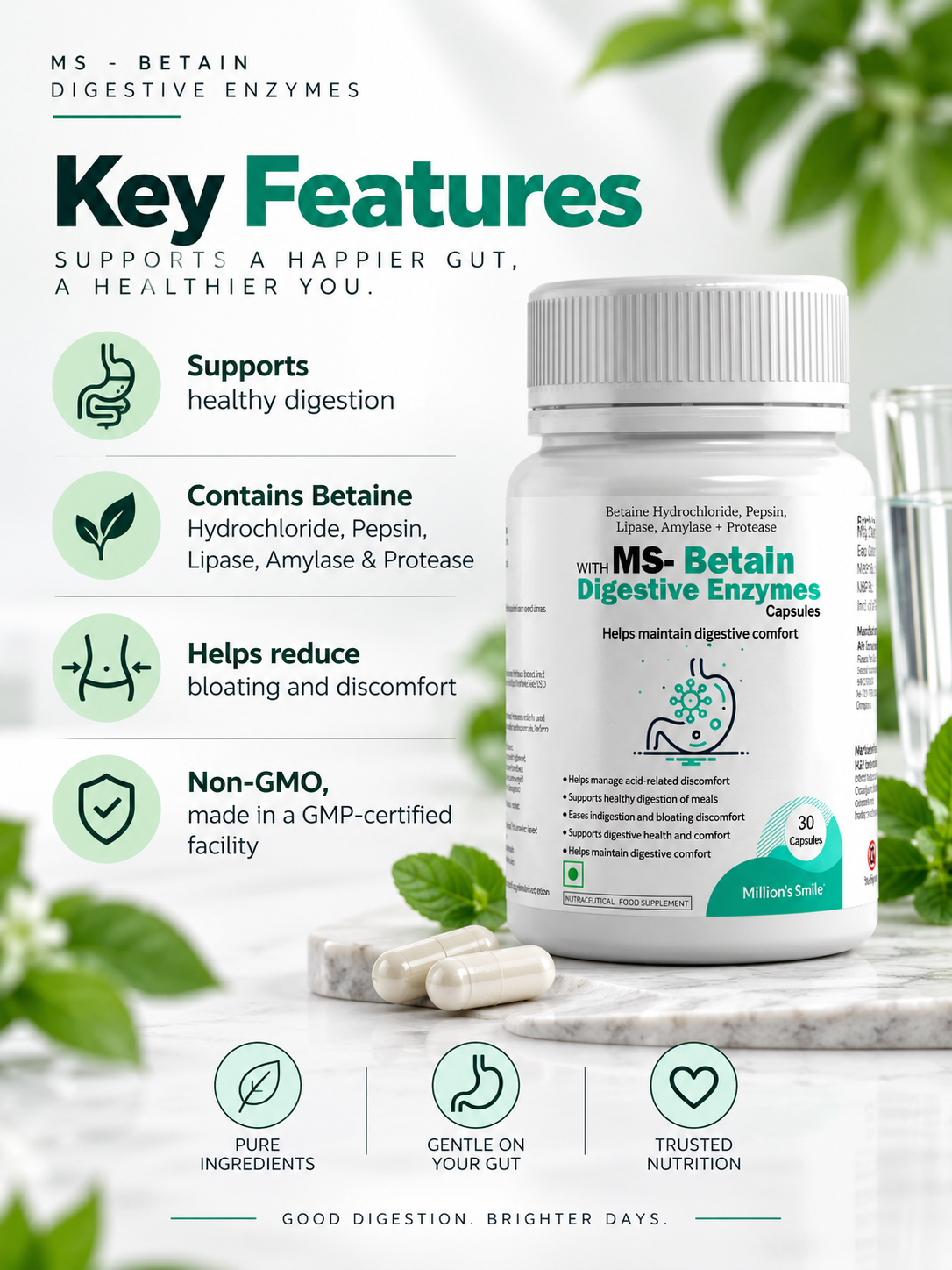 MS-Betain With Digestive Enzymes Capsules – 30 Capsules