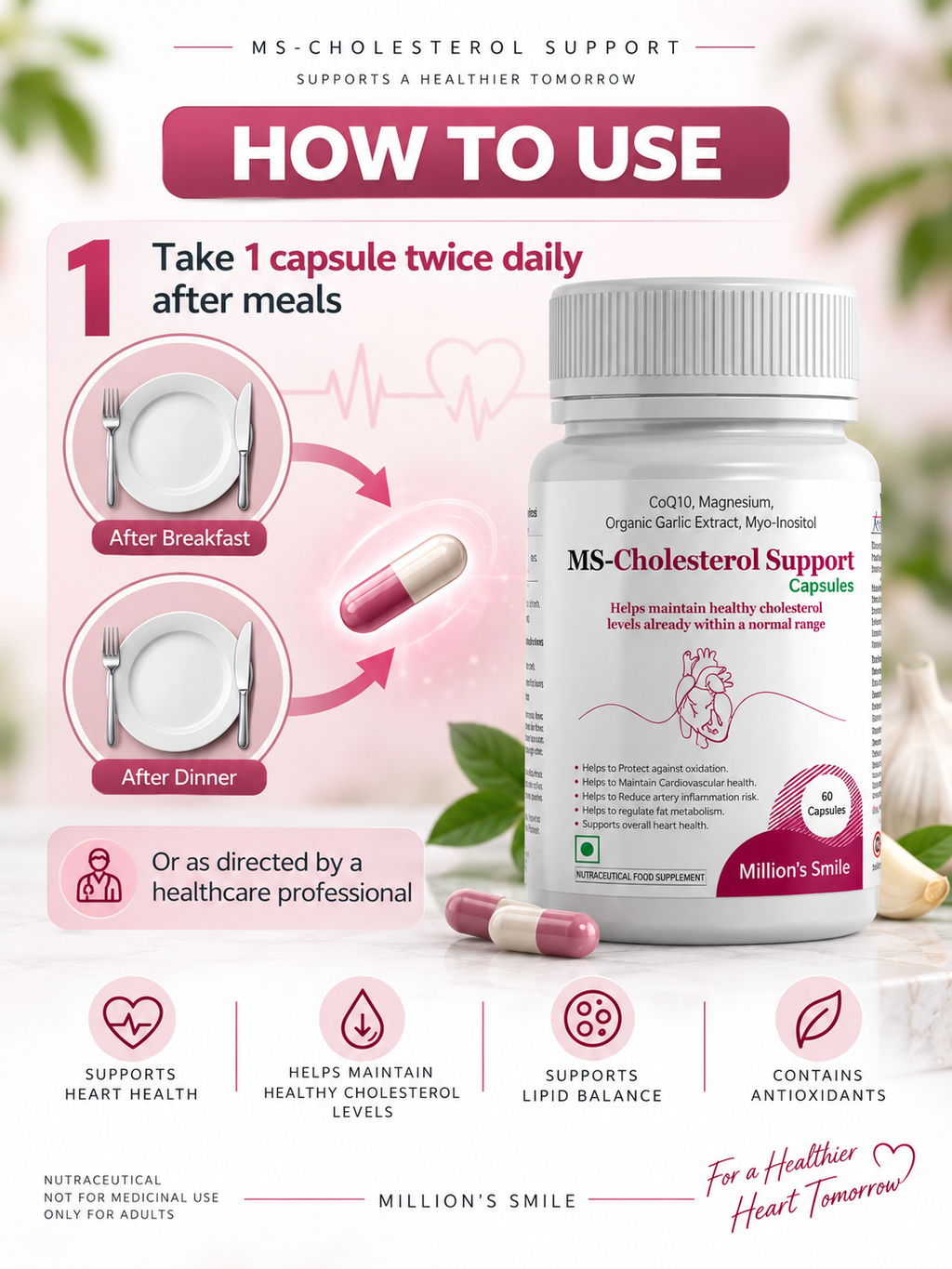 MS-Cholesterol Support Capsules – 60 Capsules