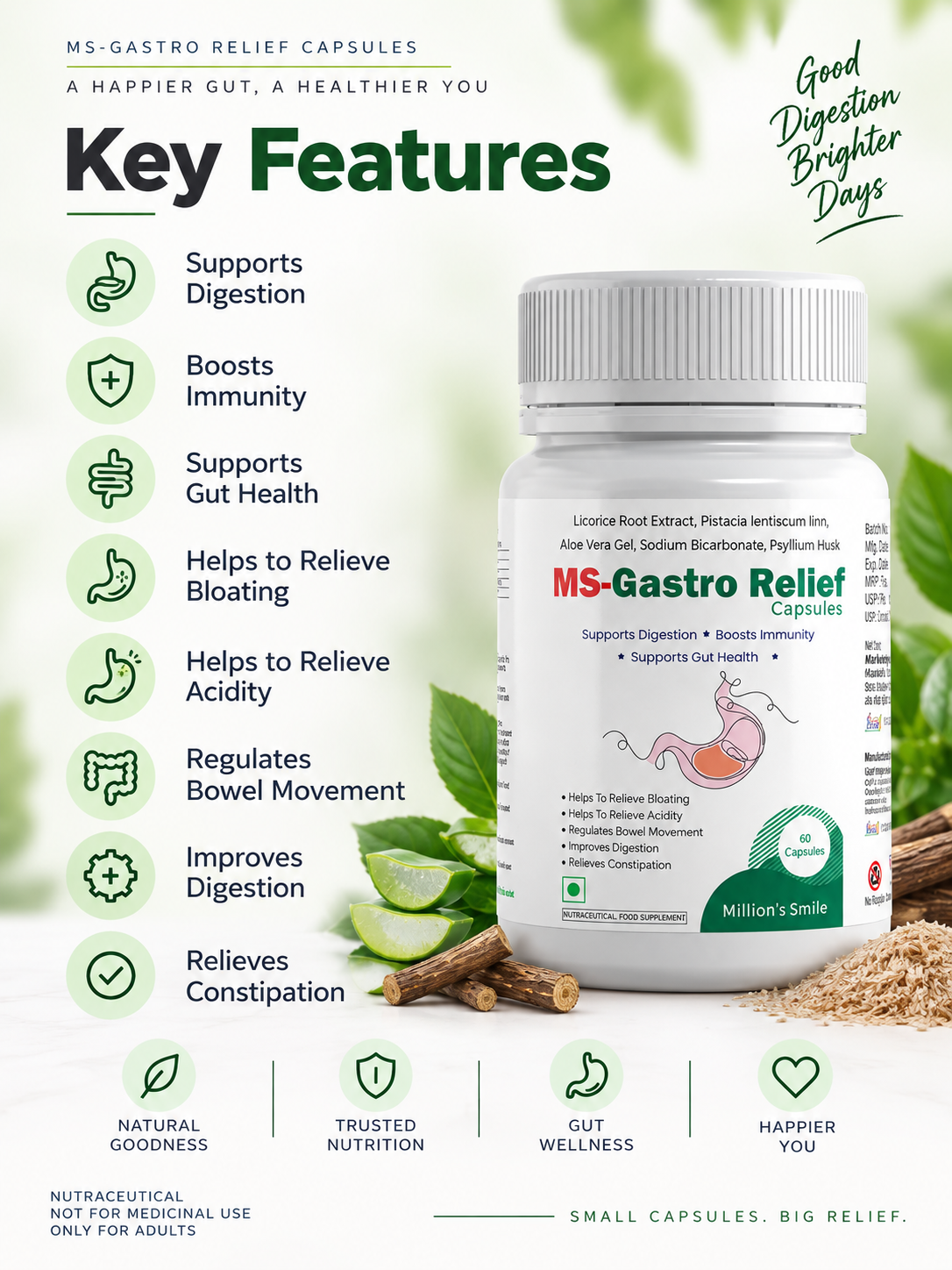 MS-Gastro Relief Capsules – 60 Capsules