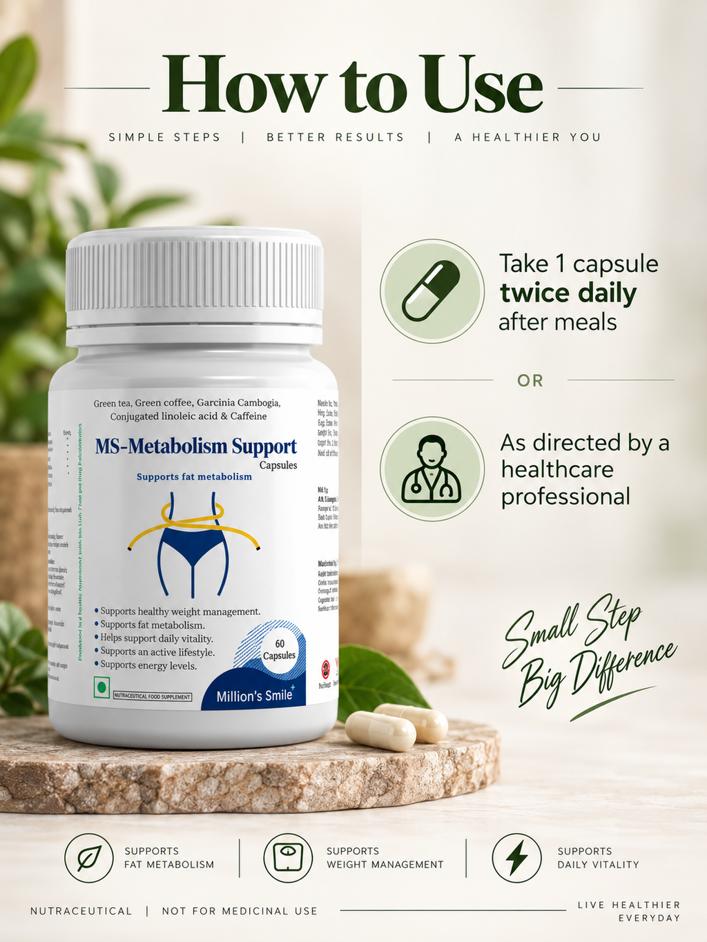 MS-Metabolism Support Capsules – 60 Capsules