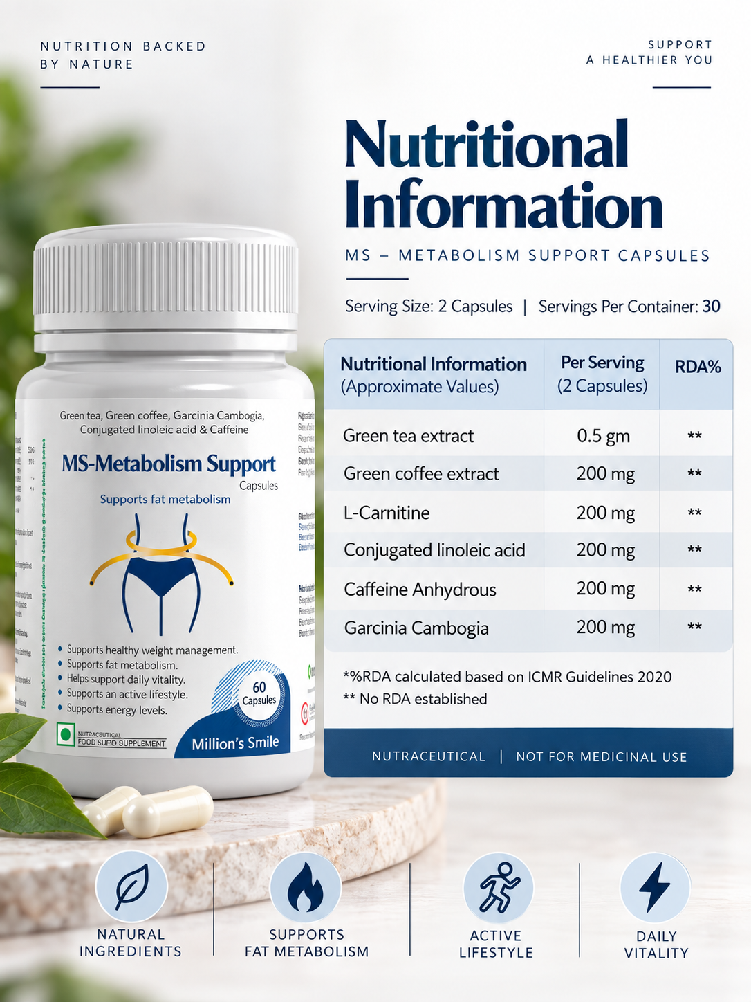 MS-Metabolism Support Capsules – 60 Capsules