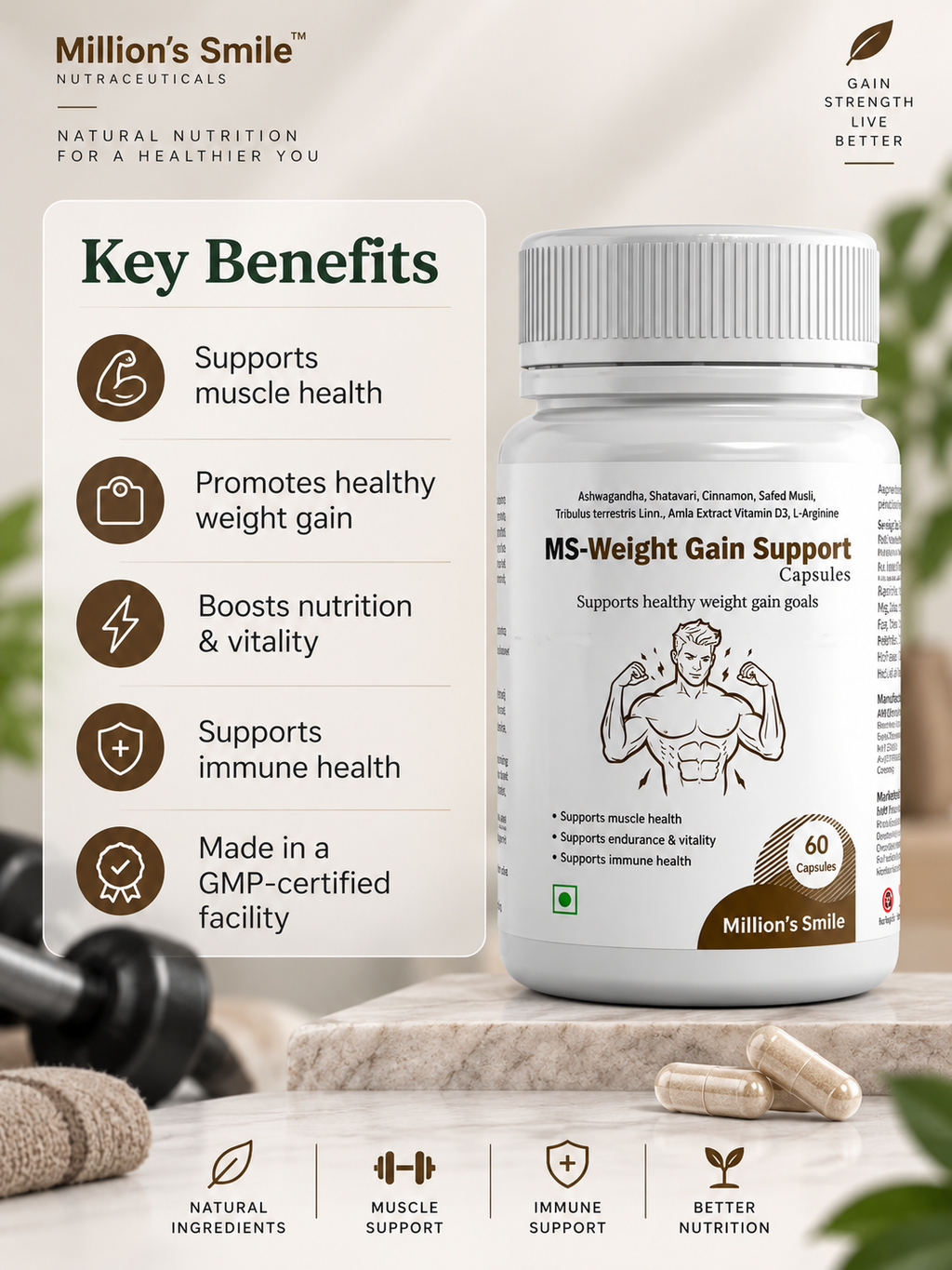 MS-Weight Gain Support Capsules – 60 Capsules